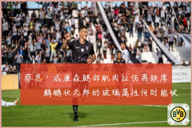 蔡恩·威廉森腿部肌肉拉伤再缺席，鹈鹕状元郎的玻璃属性何时能破？