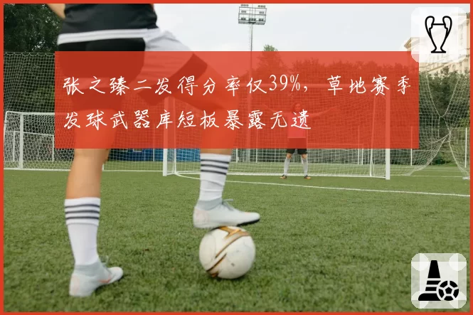张之臻二发得分率仅39%，草地赛季发球武器库短板暴露无遗