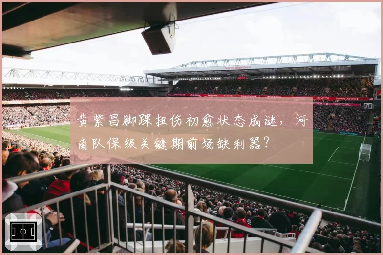 黄紫昌脚踝扭伤初愈状态成谜,河南队保级关键期前场缺利器?